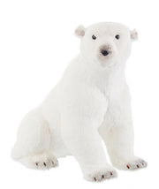 Orso assis blanc L