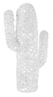 4x Cactus Mexique Bianco H88