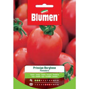 Graines de Tomate Prince Borghese Blumen