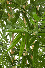 Maison de décoration de plantes en bambou avec un pot de 185 h cm