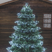 Chaîne led blanc froid 1100 MiniLED 11.5m