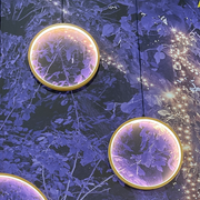 Cercle Ø37cm led Bois Clair